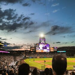 pexels-anthony-hobson-1289446-2466407